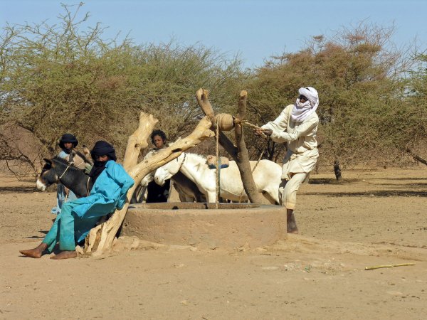 rencontres niger